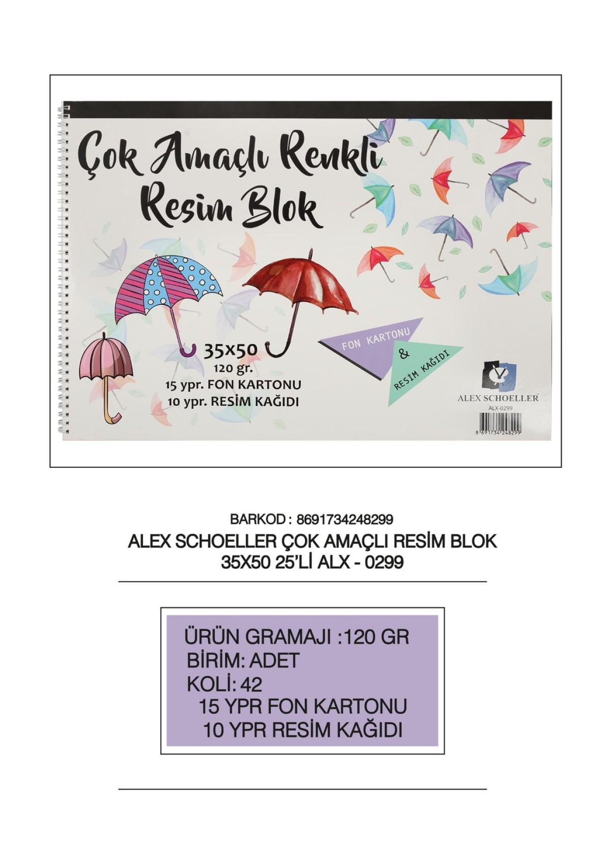 ALEX SCHOLLER ÇOK AMAÇLI RESİM DEFTERİ 35X50 120G