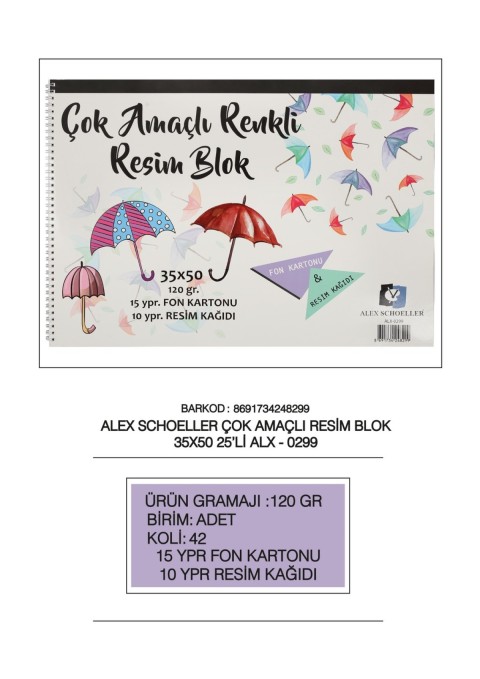 ALEX SCHOLLER ÇOK AMAÇLI RESİM DEFTERİ 35X50 120G