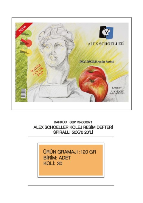 ALEX SCHOLLER 120 GR RESİM DEFTERİ 50X70 