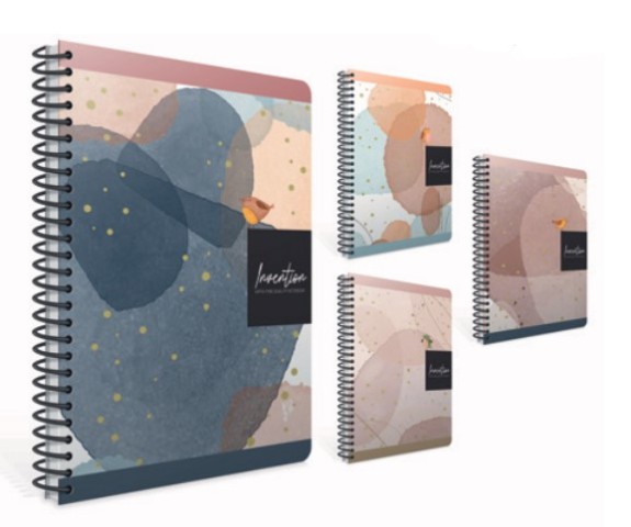 GIPTA INVENTION SERT KPK.17X24 DEFTER 120 YP.KAREL