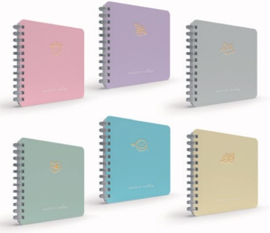 GIPTA MICRO NOTES SERT KPK DEFTER 17X24 100 YPR KA