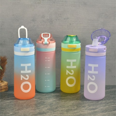 H2O POLİKARBON MATARA 650 ML