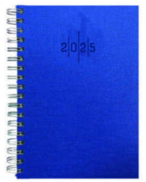 LIZY 2023 TARİHLİ AJANDA 17X24 SPİRALLİ