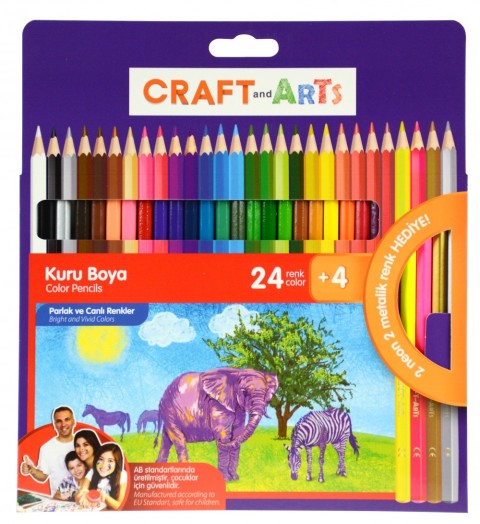 CRAFT AND ARTS KURU BOYA 24+4