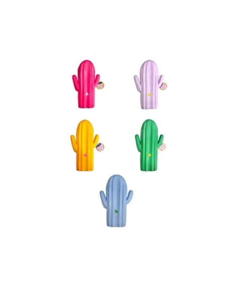 FLY COLOR KAKTÜS SLİKON KALEMLİK KOD:1207 
